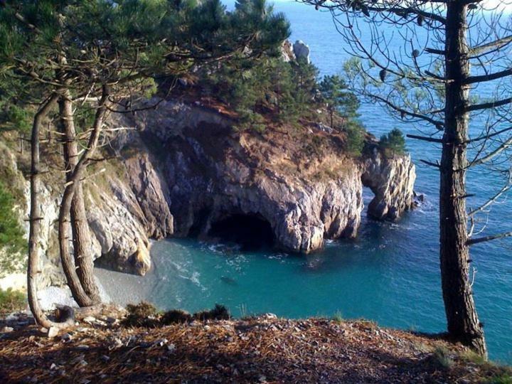 Cap Morgat Chez Jean Daire Crozon Dış mekan fotoğraf